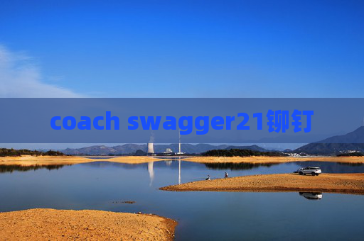 coach swagger21铆钉